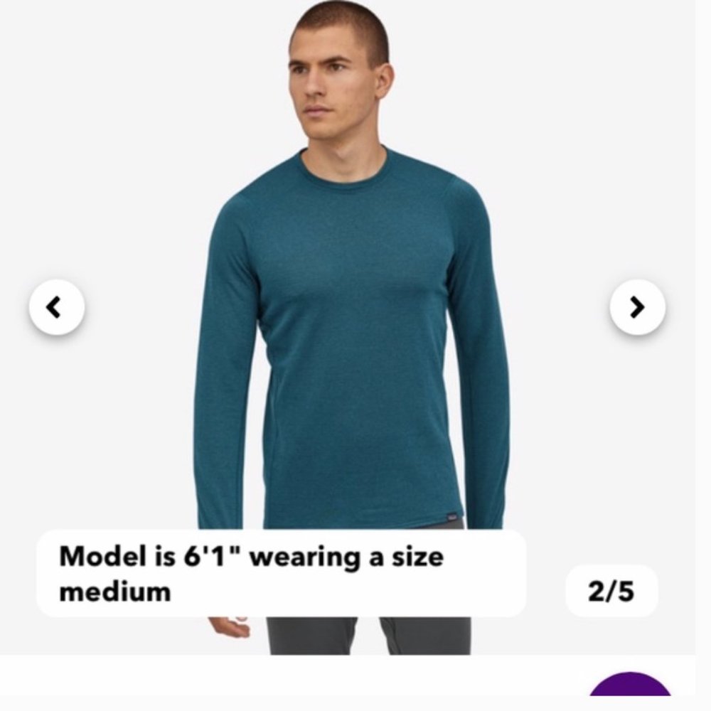 Patagonia Men's Capilene® Thermal Weight Crew -Lagom blue